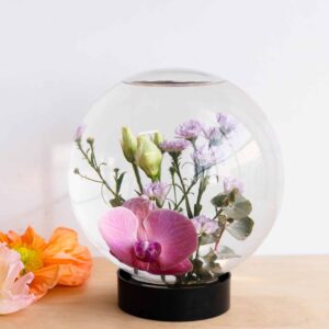 The Flower Aquarium