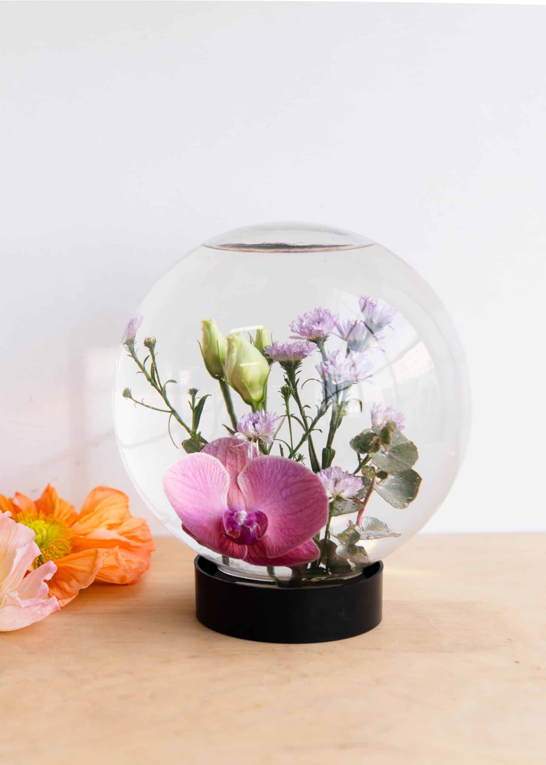 The Flower Aquarium